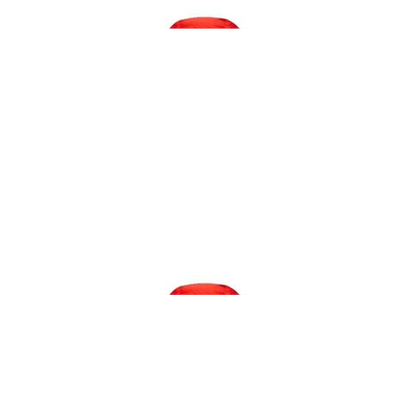 AlpenNord™ | Daunenjacke für Herren