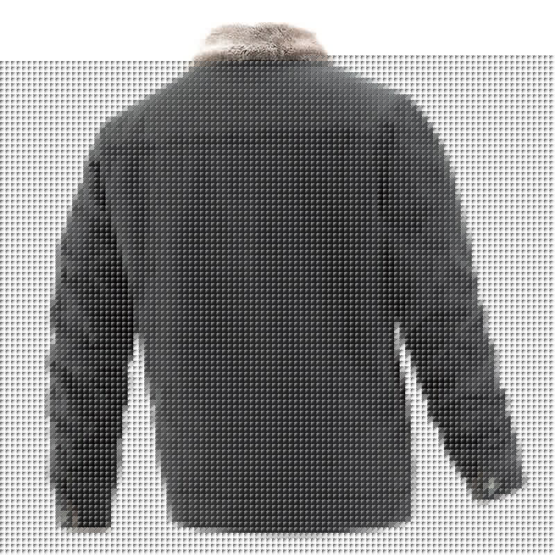 AlpenNord™ | Herren-Denimjacke mit Innenfutter