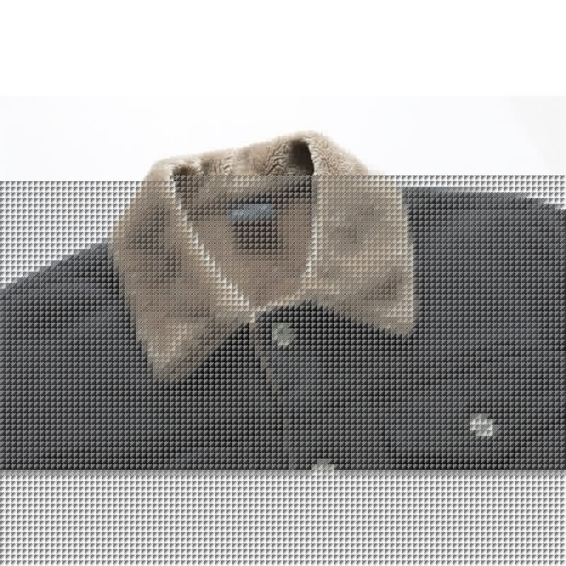 AlpenNord™ | Herren-Denimjacke mit Innenfutter